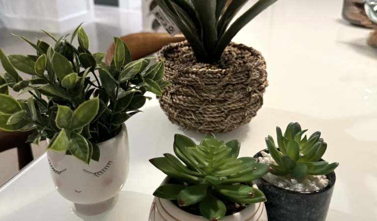 15 Affordable Walmart Faux Plants – ALL Under $15!