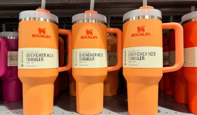 TONS Of Dick’s Sporting Goods Stanley Tumblers & More – Including NEW Colors!