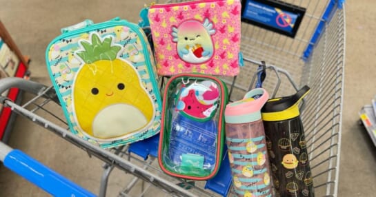 Squishmallows Accessories in a Walmart cart: a lunch box, pencil case, water bottles, and a clear pouch